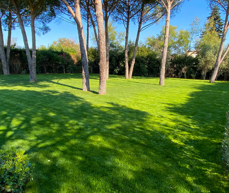 Villa B